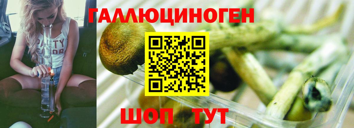 Галлюциногенные грибы мицелий  Вход с VPN  Одинцово 